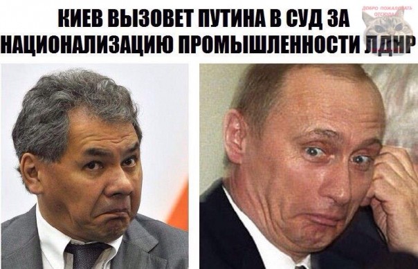 СтёбNews СтёбNews