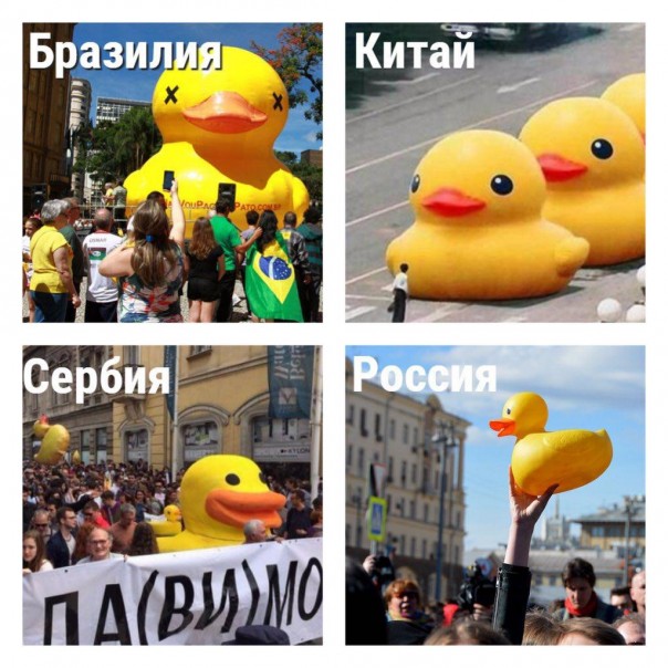 Жёлтая уточка: смешной «мем» или новый символ переворота?