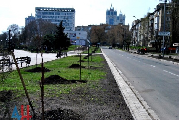 Полсотни деревьев высажено на аллее дружбы «Донецку от Липецка» в центре столицы ДНР Полсотни деревьев высажено на аллее дружбы «Донецку от Липецка» в центре столицы ДНР
