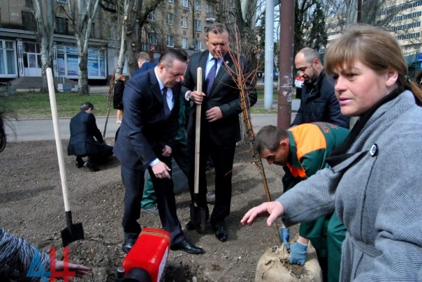 Полсотни деревьев высажено на аллее дружбы «Донецку от Липецка» в центре столицы ДНР Полсотни деревьев высажено на аллее дружбы «Донецку от Липецка» в центре столицы ДНР