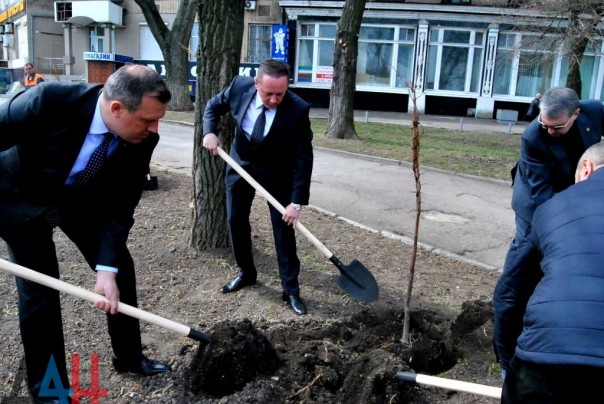 Полсотни деревьев высажено на аллее дружбы «Донецку от Липецка» в центре столицы ДНР Полсотни деревьев высажено на аллее дружбы «Донецку от Липецка» в центре столицы ДНР