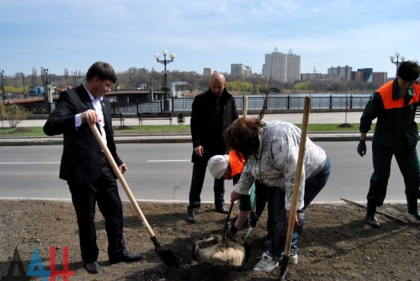 Полсотни деревьев высажено на аллее дружбы «Донецку от Липецка» в центре столицы ДНР Полсотни деревьев высажено на аллее дружбы «Донецку от Липецка» в центре столицы ДНР