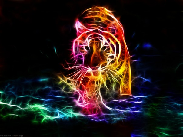 Чудеса фрактала