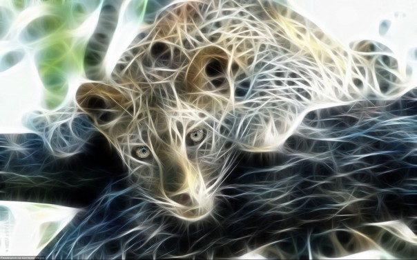 Чудеса фрактала