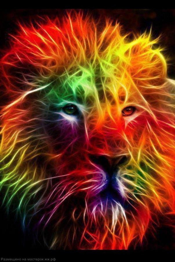 Чудеса фрактала