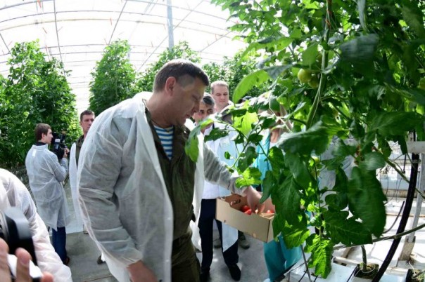 Глава ДНР прокомментировал итоги первого месяца введения внешнего управления на предприятиях