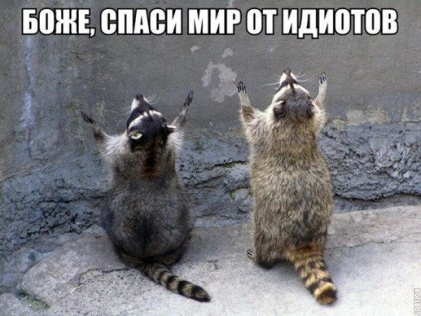 Узбагоительное для кастрюлек