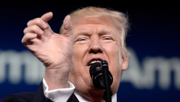 Отель в Германии отказался заселять Дональда Трампа и его советников