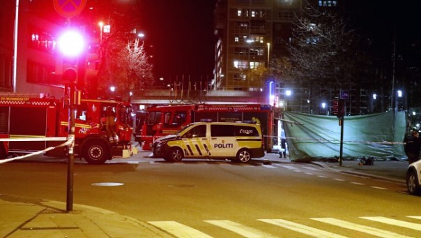 В Норвегии по подозрению закладки бомбы в Осло задержан 17-летний россиянин