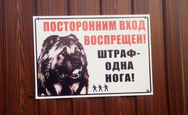 20 жизненных объявлений 20 жизненных объявлений