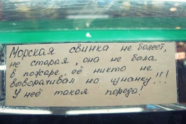 20 жизненных объявлений 20 жизненных объявлений
