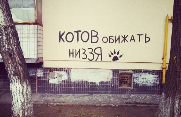 20 жизненных объявлений 20 жизненных объявлений