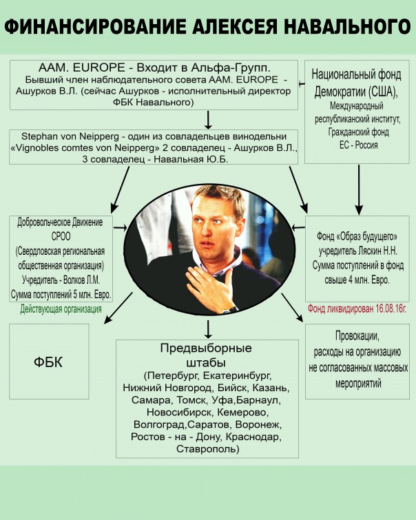 Фонды Навального: откуда у Алексея деньги на штабы, манифестации и выплаты школьникам по 10 000 евро Фонды Навального: откуда у Алексея деньги на штабы, манифестации и выплаты школьникам по 10 000 евро