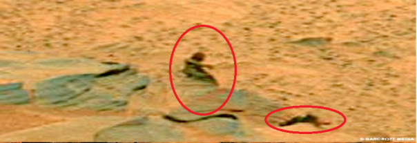 NASA обнаружило автобусную остановку на Марсе