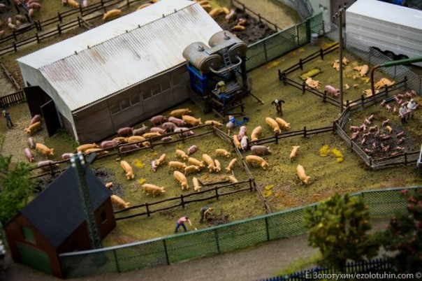 Вся Россия собрана в Питере Вся Россия собрана в Питере