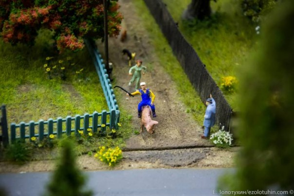 Вся Россия собрана в Питере Вся Россия собрана в Питере