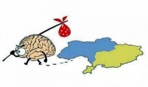 Украина – страна конфликта. Дайджест колыбели вселенской гидности