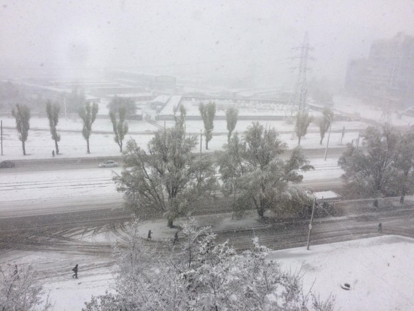 У природы нет плохой погоды: на Украину вернулась зима У природы нет плохой погоды: на Украину вернулась зима