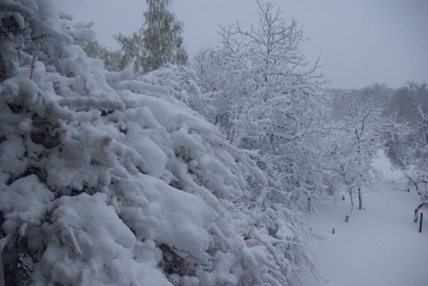 У природы нет плохой погоды: на Украину вернулась зима У природы нет плохой погоды: на Украину вернулась зима