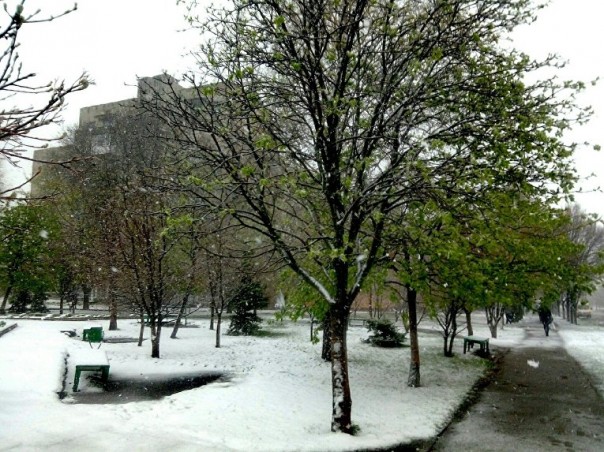 У природы нет плохой погоды: на Украину вернулась зима У природы нет плохой погоды: на Украину вернулась зима