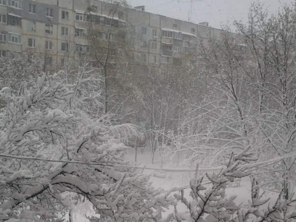 В Харькове из-за снега обесточено больше тысячи домов В Харькове из-за снега обесточено больше тысячи домов