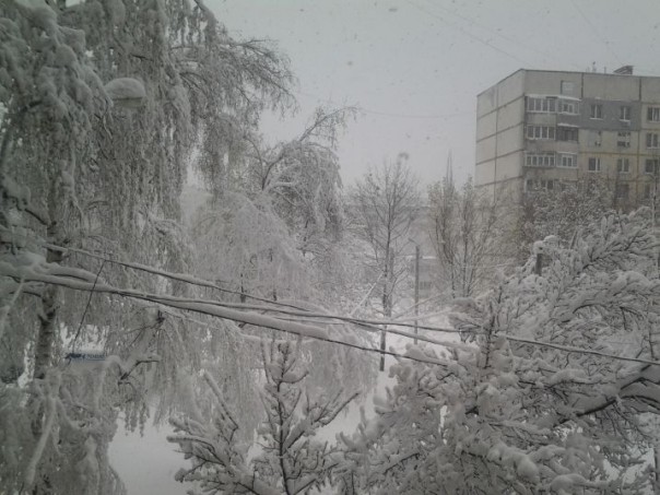 В Харькове из-за снега обесточено больше тысячи домов В Харькове из-за снега обесточено больше тысячи домов