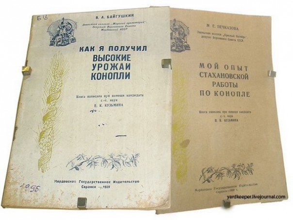 Почему Сталин считал коноплю равной пшенице и подсолнечнику