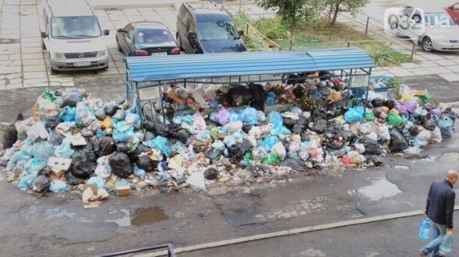 Жизнь на помойке