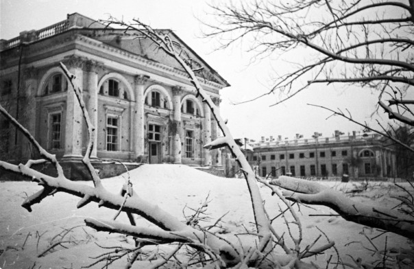 Наша Победа в объективе Наша Победа в объективе
