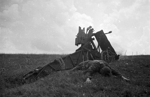 Наша Победа в объективе Наша Победа в объективе