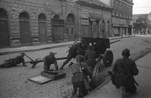 Наша Победа в объективе Наша Победа в объективе
