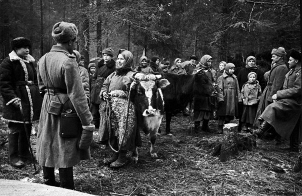 Наша Победа в объективе Наша Победа в объективе