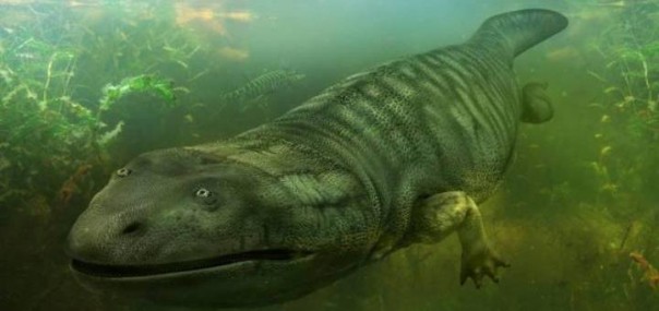 Несоответствие теории эволюции. Выпавшие звенья Несоответствие теории эволюции. Выпавшие звенья