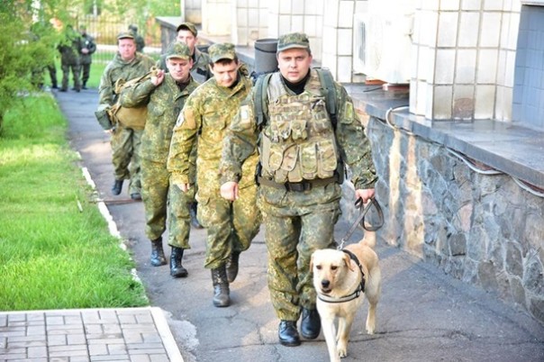 Курс на хаос Курс на хаос