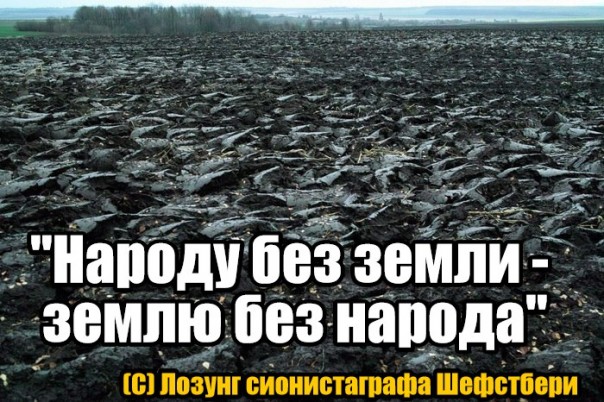 "Мыздобулы" в картинках. Смешных и не очень... 29-04-2017