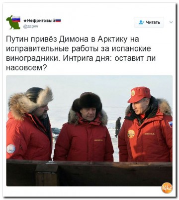 "Мыздобулы" в картинках. Смешных и не очень... 01-04-2017