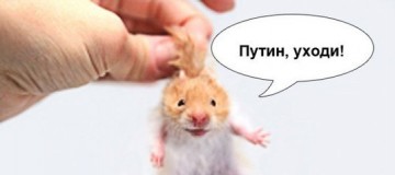 "Мыздобулы" в картинках. Смешных и не очень... 05.04.2017