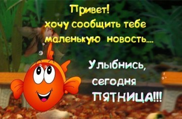 Пятница - Хохмы с Сети.