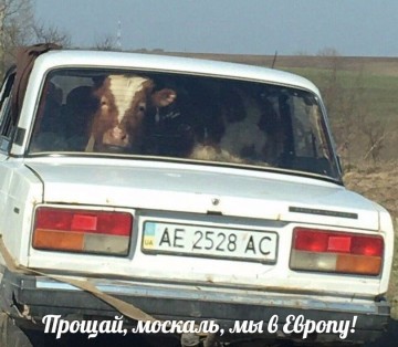 "Мыздобулы" в картинках. Смешных и не очень... 08.04.2017