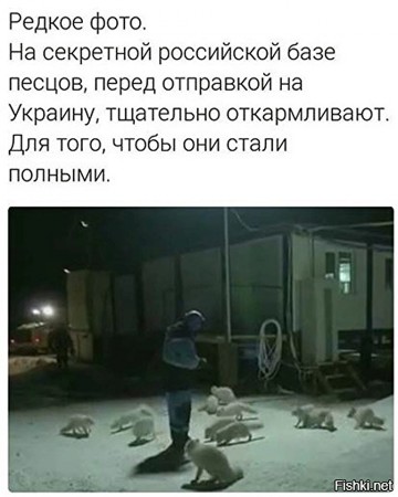 "Мыздобулы" в картинках. Смешных и не очень... 08.04.2017
