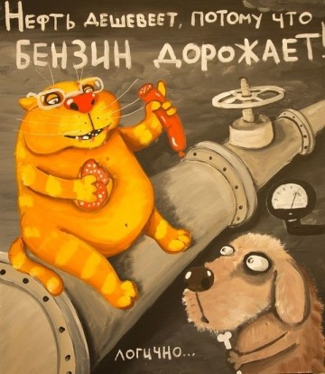 "Мыздобулы" в картинках. Смешных и не очень... 12.04.2017