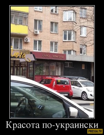 "Мыздобулы" в картинках. Смешных и не очень... 12.04.2017