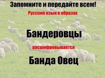 "Мыздобулы" в картинках. Смешных и не очень... 13.04.2017