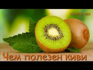 Фрукт киви: Состав, польза и лечебные свойства Польза киви для организма и для похудения
