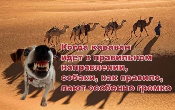 "Мыздобулы" в картинках. Смешных и не очень... 19.04.2017