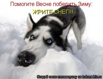 "Мыздобулы" в картинках. Смешных и не очень... 22.04.2017
