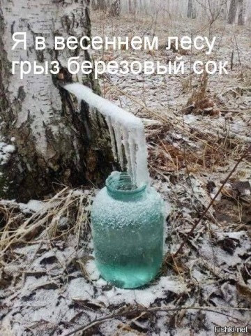 "Мыздобулы" в картинках. Смешных и не очень... 22.04.2017