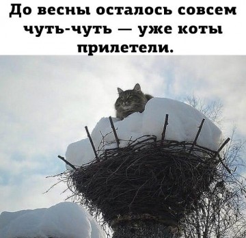 "Мыздобулы" в картинках. Смешных и не очень... 22.04.2017