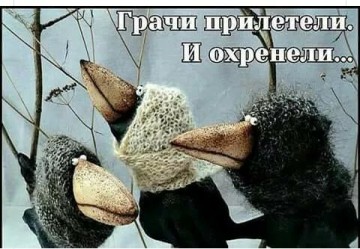 "Мыздобулы" в картинках. Смешных и не очень... 22.04.2017