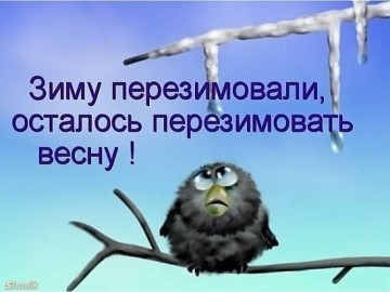 "Мыздобулы" в картинках. Смешных и не очень... 22.04.2017